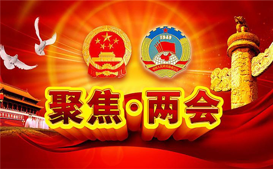 觀點(diǎn)集錦！兩會(huì)上電池行業(yè)傳出了那些重磅級(jí)聲音？