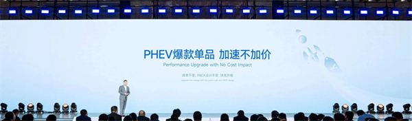 獨家｜對話楊紅新：蜂巢能源2024年如何“破卷”？
