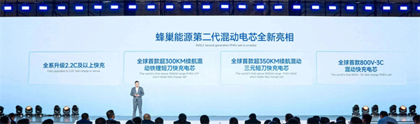 獨家｜對話楊紅新：蜂巢能源2024年如何“破卷”？